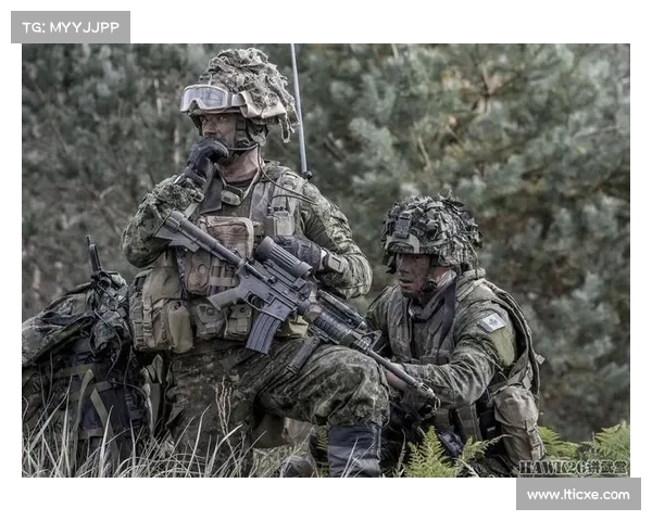 美国、加拿大完成在拉脱维亚的“前进猎杀”行动 传媒